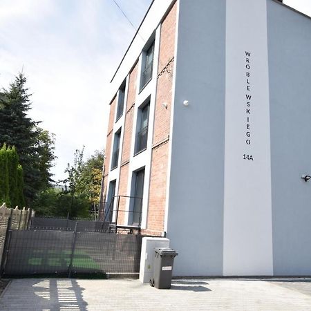 Katowice Chorzow Park Stadion Slaski Apartmenty Siemianowice Śląskie Exterior photo